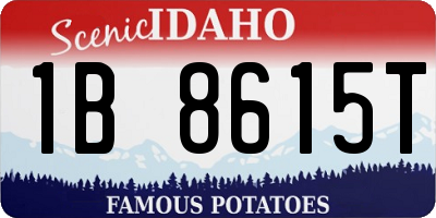 ID license plate 1B8615T
