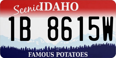 ID license plate 1B8615W