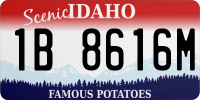 ID license plate 1B8616M