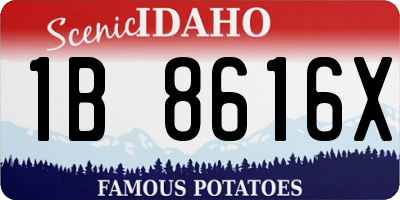 ID license plate 1B8616X