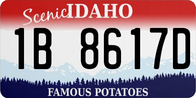 ID license plate 1B8617D