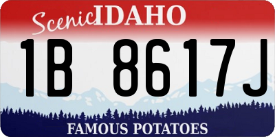 ID license plate 1B8617J