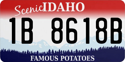 ID license plate 1B8618B