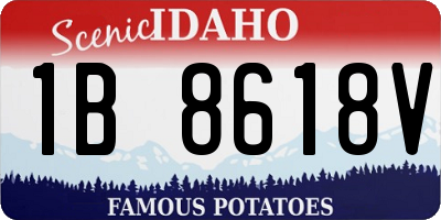 ID license plate 1B8618V