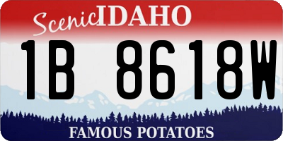 ID license plate 1B8618W