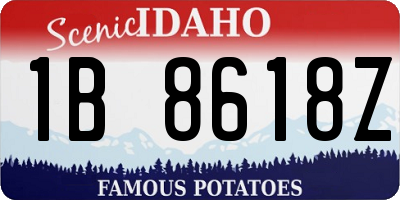ID license plate 1B8618Z