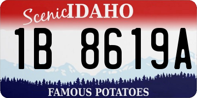 ID license plate 1B8619A
