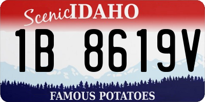 ID license plate 1B8619V