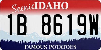ID license plate 1B8619W