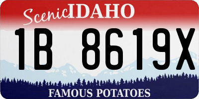 ID license plate 1B8619X