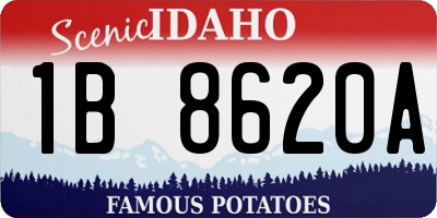 ID license plate 1B8620A