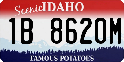ID license plate 1B8620M