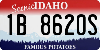 ID license plate 1B8620S