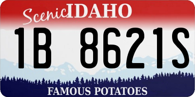 ID license plate 1B8621S