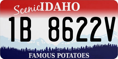 ID license plate 1B8622V