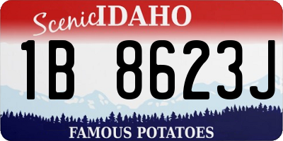 ID license plate 1B8623J