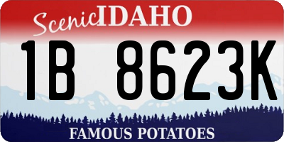 ID license plate 1B8623K