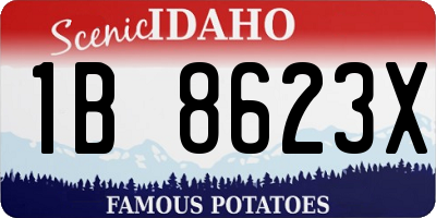 ID license plate 1B8623X