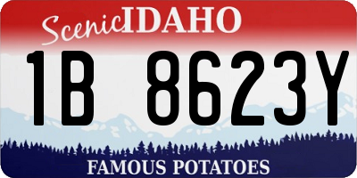 ID license plate 1B8623Y
