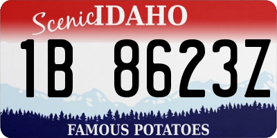 ID license plate 1B8623Z