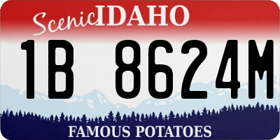 ID license plate 1B8624M