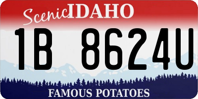 ID license plate 1B8624U
