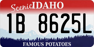 ID license plate 1B8625L