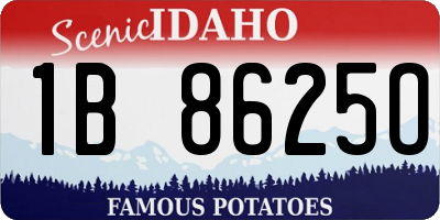 ID license plate 1B8625O