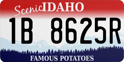 ID license plate 1B8625R