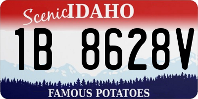 ID license plate 1B8628V
