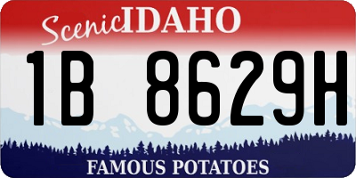 ID license plate 1B8629H