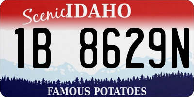 ID license plate 1B8629N