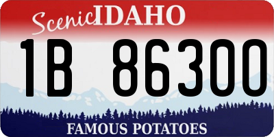 ID license plate 1B8630O