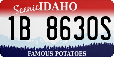 ID license plate 1B8630S