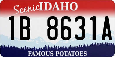 ID license plate 1B8631A
