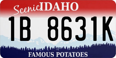 ID license plate 1B8631K