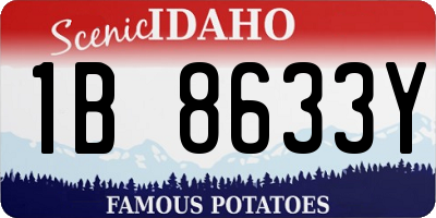 ID license plate 1B8633Y