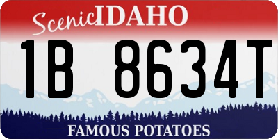 ID license plate 1B8634T
