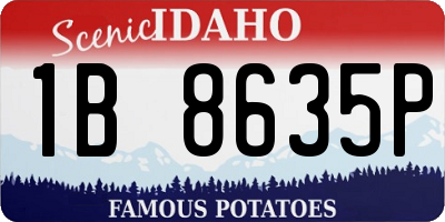 ID license plate 1B8635P