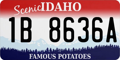 ID license plate 1B8636A