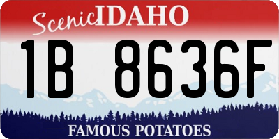 ID license plate 1B8636F