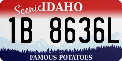ID license plate 1B8636L