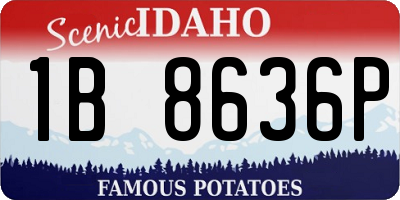 ID license plate 1B8636P