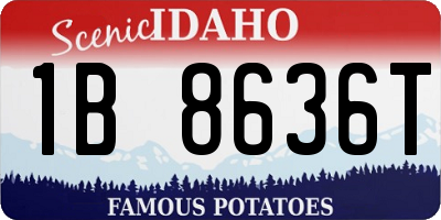 ID license plate 1B8636T
