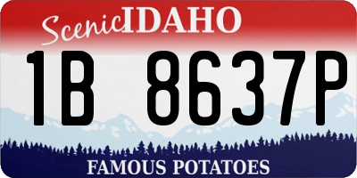 ID license plate 1B8637P