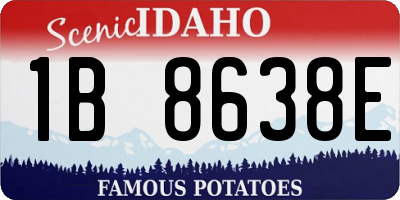 ID license plate 1B8638E