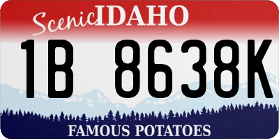 ID license plate 1B8638K