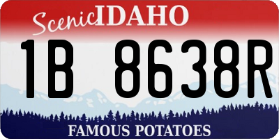 ID license plate 1B8638R