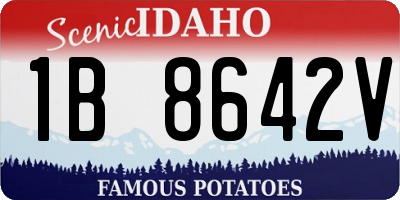 ID license plate 1B8642V