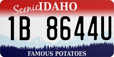 ID license plate 1B8644U